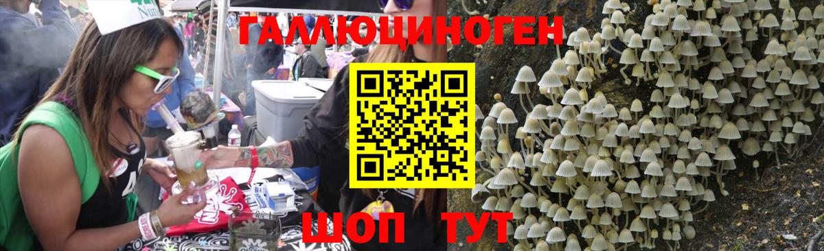 Лесосибирск  Псилоцибиновые грибы Magic Shrooms  Вход с VPN 